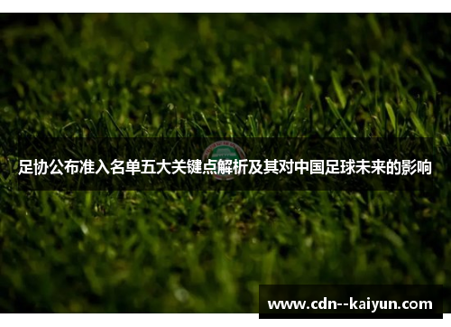 足协公布准入名单五大关键点解析及其对中国足球未来的影响