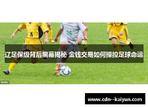 辽足保级背后黑幕揭秘 金钱交易如何操控足球命运